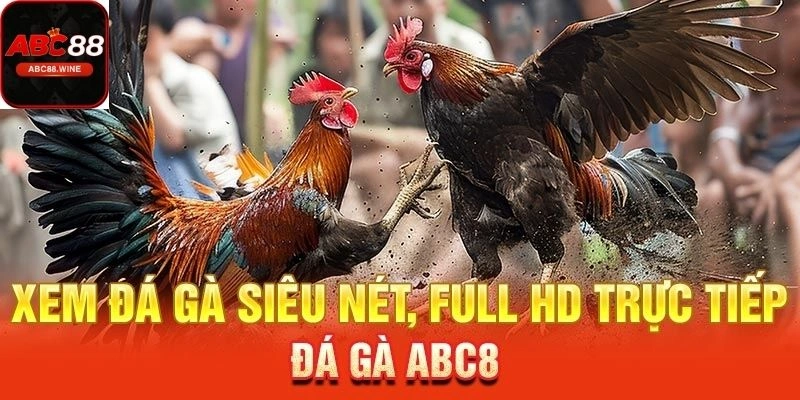 Đá Gà ABC88