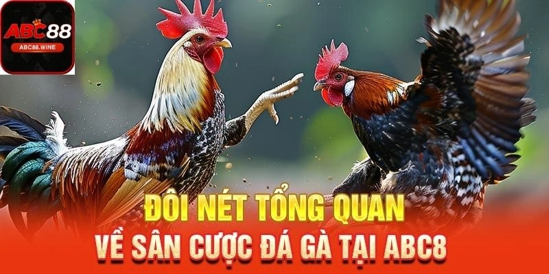 Đá Gà ABC88